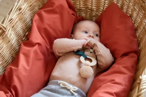 Kids Sebra Interior Baby Toys>Activity mini rattle, Milo the bear – Sebra