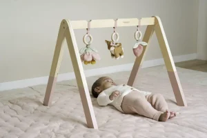 Kids Little Dutch Wooden Toys | Baby Toys>Babygym, Fairy Garden –