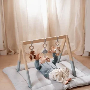 Kids Little Dutch Wooden Toys | Baby Toys>Babygym, Forest Friends –