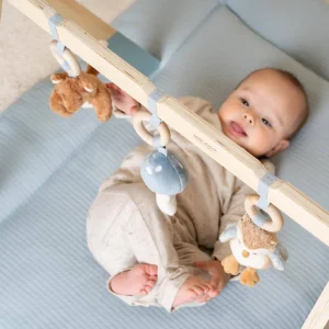 Kids Little Dutch Wooden Toys | Baby Toys>Babygym, Forest Friends –
