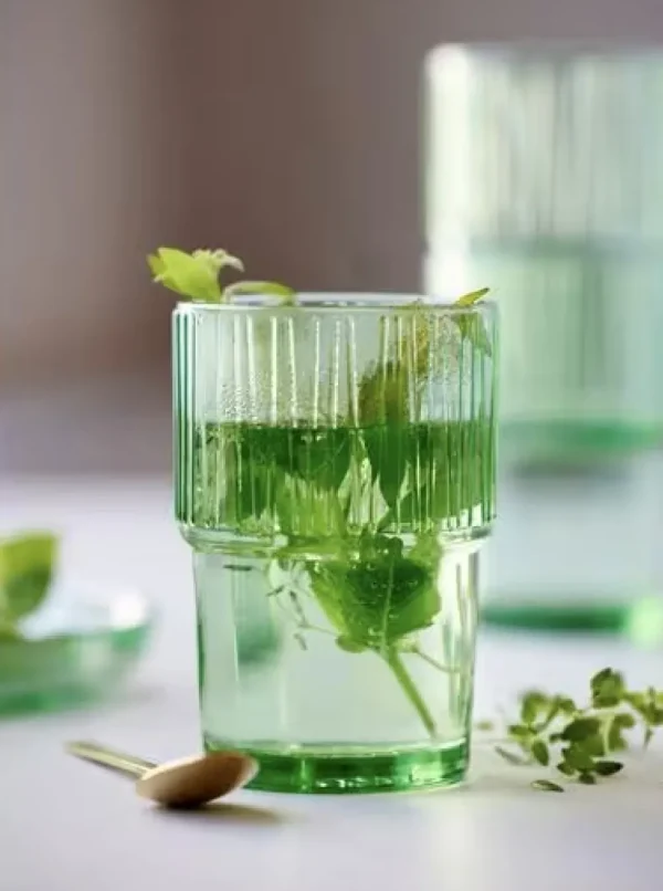 Bitz Kitchen>Coffee Glasses Kusintha 4 pieces, Green –