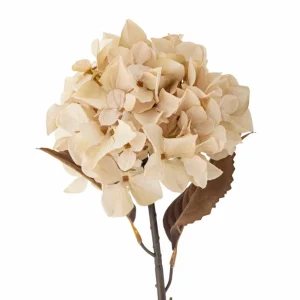 Bloomingville Flowers>Hydrangea Stem, Nature, Artificial Flowers –