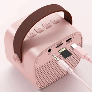 Kids Lalarma Copenhagen Music Instruments | Christmas Toys>Karaoke Set Rose Pastel – Lalarma
