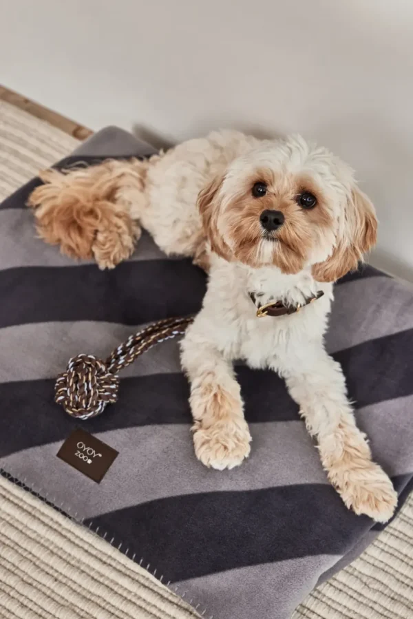 OYOY ZOO Pets>Kaya Dog Blanket Medium, Black – OYOY