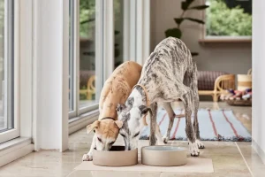 OYOY ZOO Pets>Koko Dog Bowl Mat, Sand –