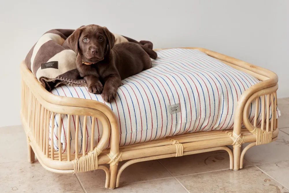 kyoto_dog_cushion_small_m_1.webp OYOY ZOO Pets>Kyoto Dog Cushion Small, Mellow – OYOY