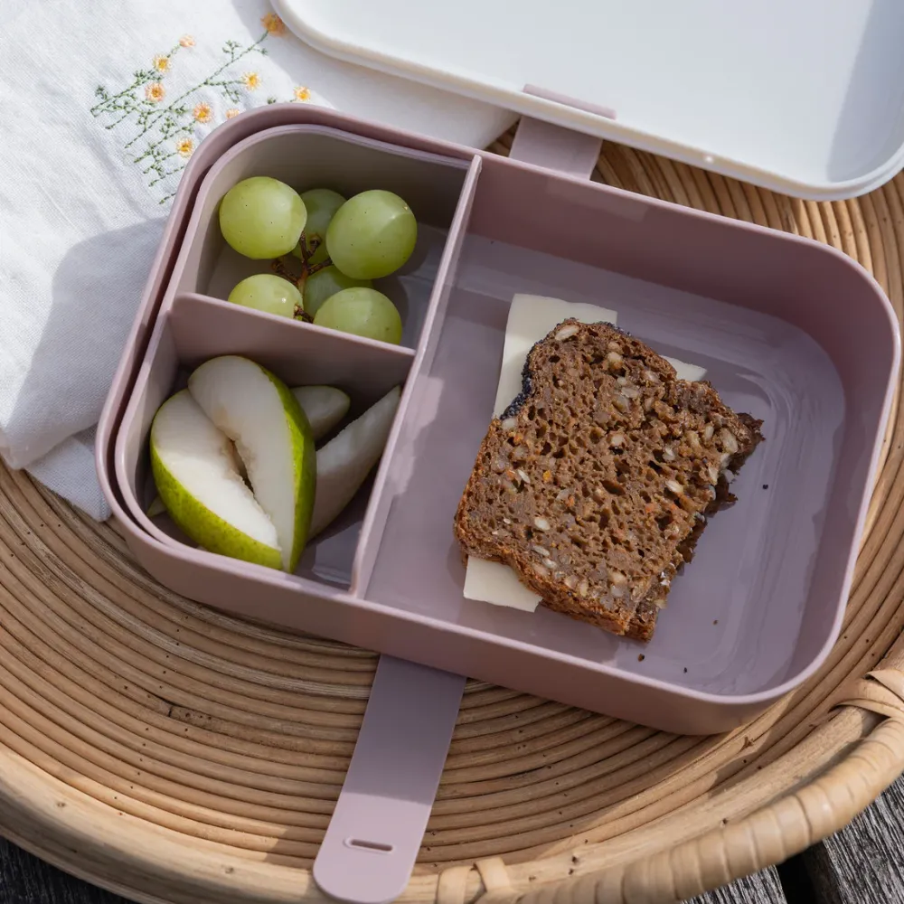 lunchbox_with_silicone_st_2.webp Kids Sebra Interior Dinnertime>Lunchbox with silicone strap, Teeny Toes – Sebra