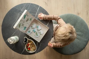 Kids FILIBABBA Games And Puzzles>Magnetic Puzzle, Turtle –