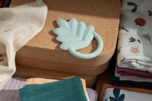 Kids Sebra Interior Pacifiers And Boxes>Natural rubber, Latex Teether, leaf, misty mint – Sebra