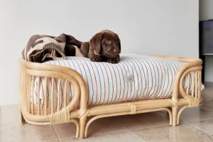 OYOY ZOO Pets>Otto Dog Bed, Large – OYOY