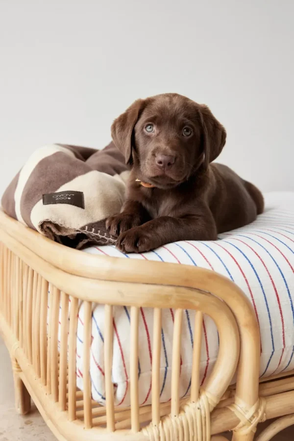 OYOY ZOO Pets>Otto Dog Bed, Large – OYOY