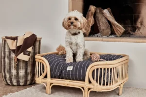 OYOY ZOO Pets>Otto Dog Bed, Small – OYOY