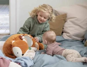 Kids Sebra Interior Cushions & Nursing Pillows | Cuddly Toys>Play Cushion, Sparky the fox – Sebra