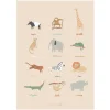 Kids Sebra Interior Kids Posters>Poster, Wildlife – Sebra