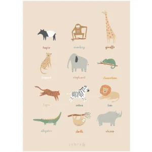 Kids Sebra Interior Kids Posters>Poster, Wildlife – Sebra