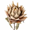 Bloomingville Flowers>Protea Stem, Nature, Artificial Flowers –