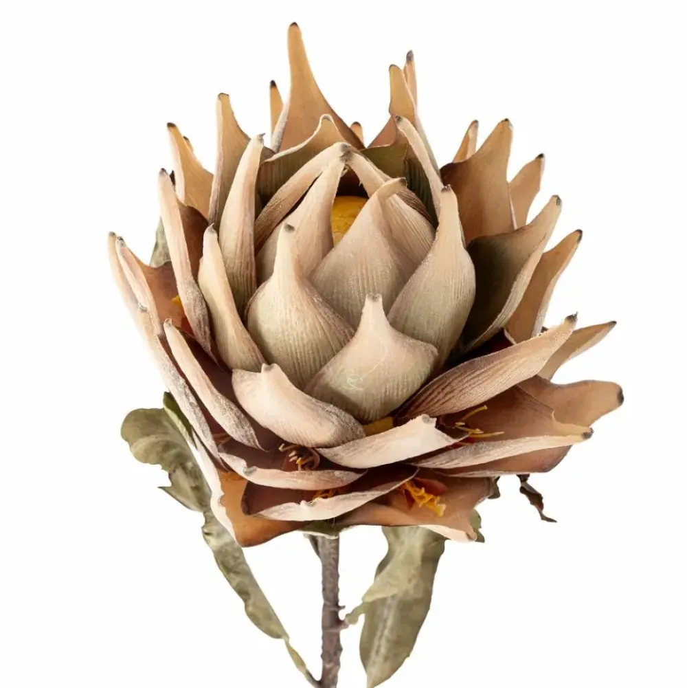 protea_stem_nature_artifi_0.webp Bloomingville Flowers>Protea Stem, Nature, Artificial Flowers –