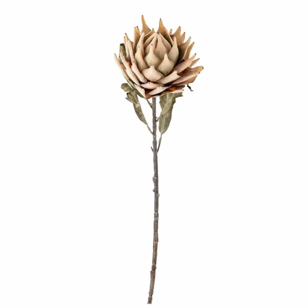 protea_stem_nature_artifi_2.webp Bloomingville Flowers>Protea Stem, Nature, Artificial Flowers –