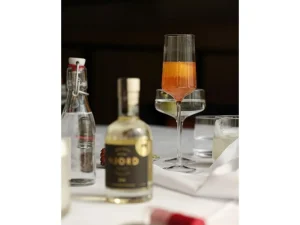 Zone Denmark Kitchen>Rocks, Champagne Glasses 2 pcs. –