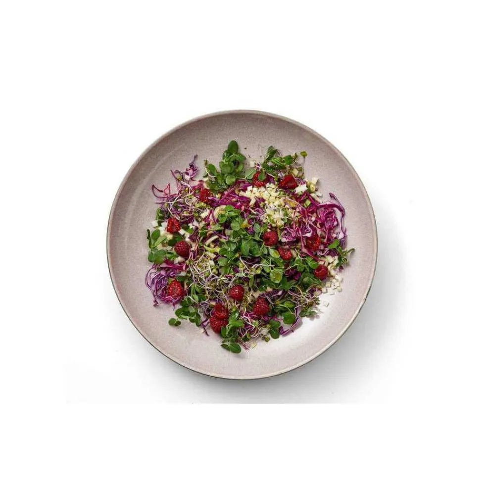 salad_bowl___cm_grey_rose_1.webp Bitz Kitchen>Salad Bowl Ø 40 cm Grey/ Rose –