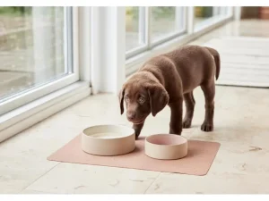 OYOY ZOO Pets>Sia Dog Bowl Medium Offwhite – OYOY