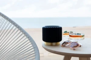 Atelier Pierre Outdoor>Speaker Black –