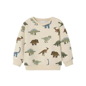 Kids/BOY Name It Boy 2-8Y | Baby Boy>Sweat Dino Summer Sand –