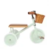 Kids Banwood Outdoor Toys | Bikes, Scooters And Helmets>Trike Tribike Mint –