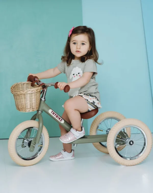 Kids Trybike Outdoor Toys | Christmas Toys>steel 2-in-1, Vintage Matt Green 3 wheeler –