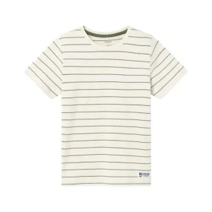 Kids/BOY Name It Teen Boy 8+ | Boy 2-8Y>T-shirt Stripe Olive –