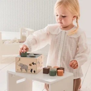 Kids Sebra Interior Wooden Toys | Games And Puzzles>Wooden shape sorter, World of Sebra – Sebra